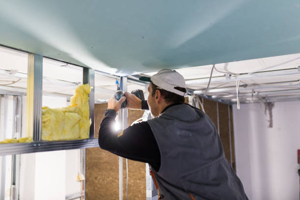 Best Insulation Installation Services in Winthrop Harbor, IL